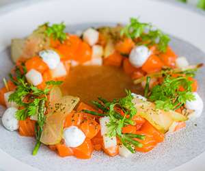 Salmon Crudo dish