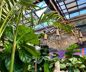 Chandelier viewed through palm fronds