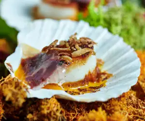 Scallop garnished with Jamon Iberico